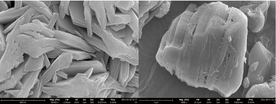 扫描电镜检测图片 扫描电镜检测图片