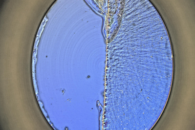 基恩士VHX-5000租售 基恩士VHX-5000租售